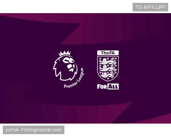 美加墨世界杯组委会完成纽约大都会球场最终验收