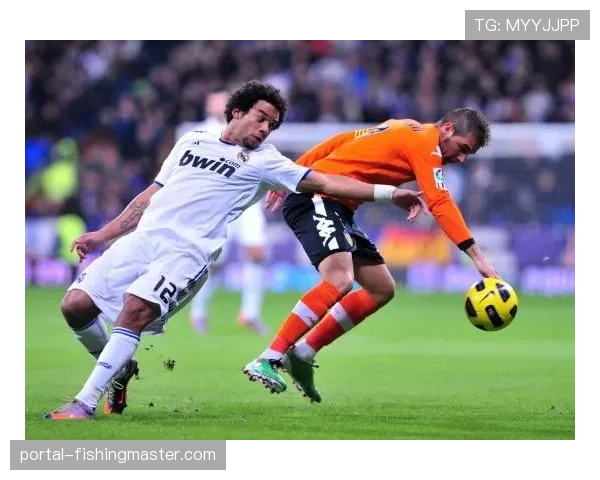 德国校园手球推广计划年度报告发布，青少年注册球员数同比增长8%